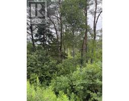 Lot 1 & 2 Whycocomagh Port Hood Rd. Soapstone Mine, Soapstone Mine, NS B0E3M0 Photo 7
