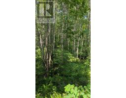 191 Ashburton Road, West Nipissing, ON P0H1M0 Photo 34
