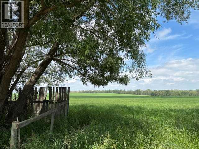 38138 Range Road 283 - Photo 20