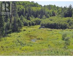888 Wilno South Road S, Madawaska Valley, ON K0J2N0 Photo 31