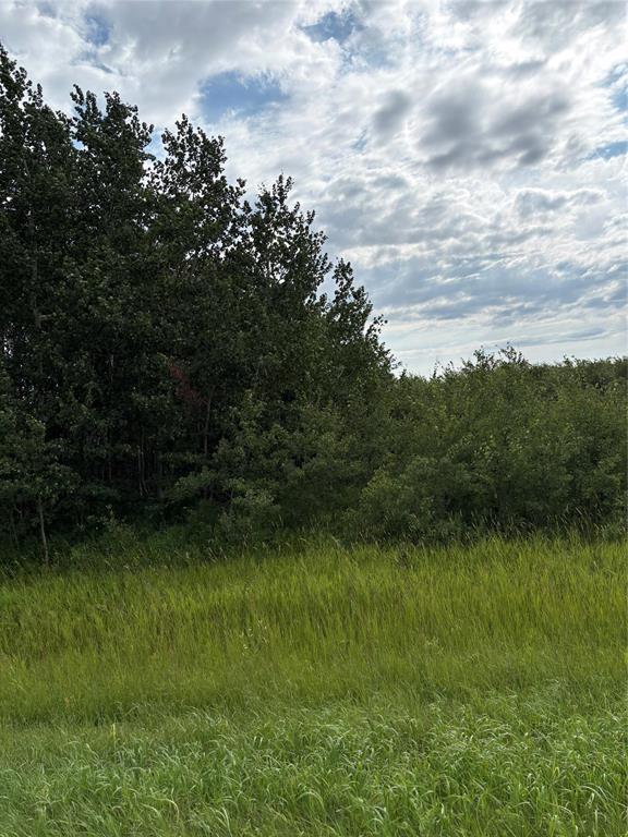 0 Boundary Road, St Andrews, Manitoba, R1A4E2, St Andrews, Manitoba — photo 1 of 4