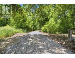 8238 Concession 5 Road, West Lincoln, ON L0R1E0 Photo 41