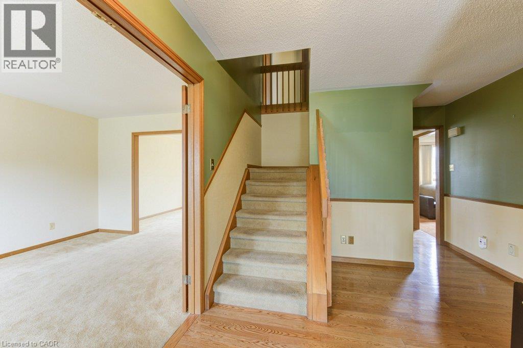 Interior staircase featuring light wood railings and carpeted treads
