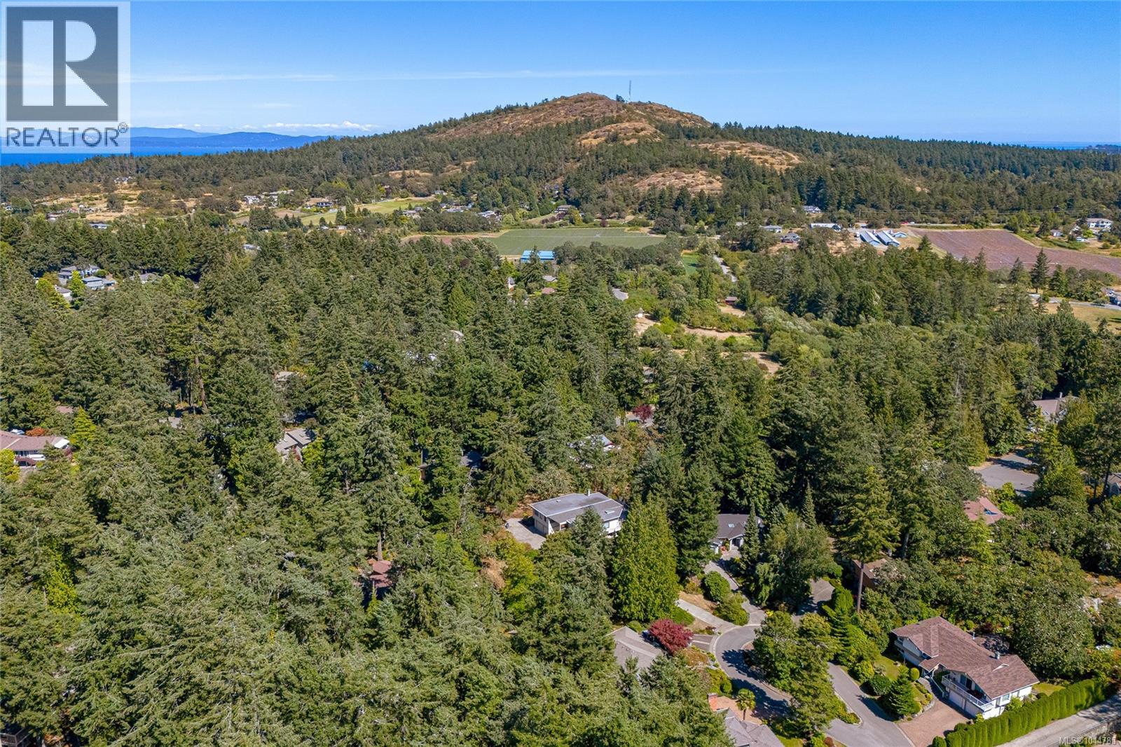 4468 Autumnwood Lane - Image 51