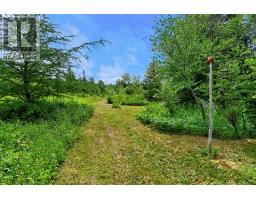 351 Swansea Road thumbnail 11