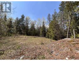 0 Highway 118, Faraday, ON K0L1C0 Photo 10