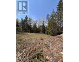 0 Highway 118, Faraday, ON K0L1C0 Photo 11