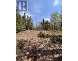 0 Highway 118, Faraday, ON K0L1C0 Photo 14