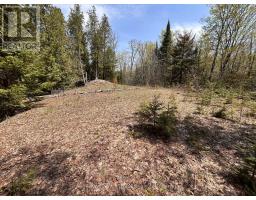 0 Highway 118, Faraday, ON K0L1C0 Photo 15