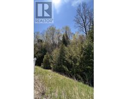 0 Highway 118, Faraday, ON K0L1C0 Photo 17