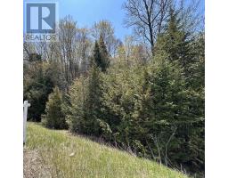 0 Highway 118, Faraday, ON K0L1C0 Photo 16
