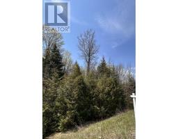 0 Highway 118, Faraday, ON K0L1C0 Photo 18