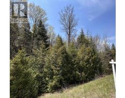 0 Highway 118, Faraday, ON K0L1C0 Photo 19
