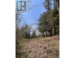 0 Highway 118, Faraday, ON K0L1C0 Photo 9
