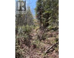 0 Highway 118, Faraday, ON K0L1C0 Photo 7