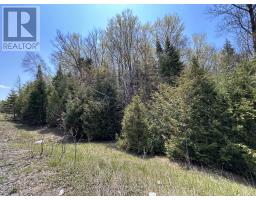 0 Highway 118, Faraday, ON K0L1C0 Photo 6