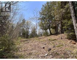 0 Highway 118, Faraday, ON K0L1C0 Photo 8