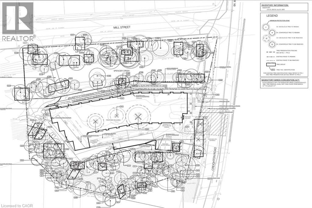 Thumbnail 10