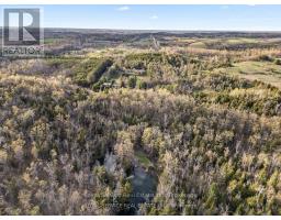 435 Bland Line, Cavan Monaghan, ON L0A1C0 Photo 49
