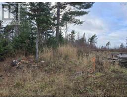 Lot P-1 Baker Road, Mount Pleasant, NS B0R1G0 Photo 6