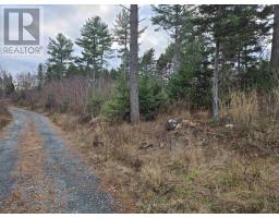 Lot P-1 Baker Road, Mount Pleasant, NS B0R1G0 Photo 7