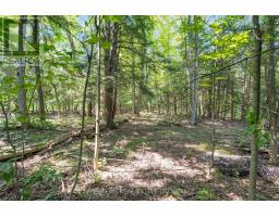 2122 Fern Glen Court, Severn, ON L3V0E8 Photo 48