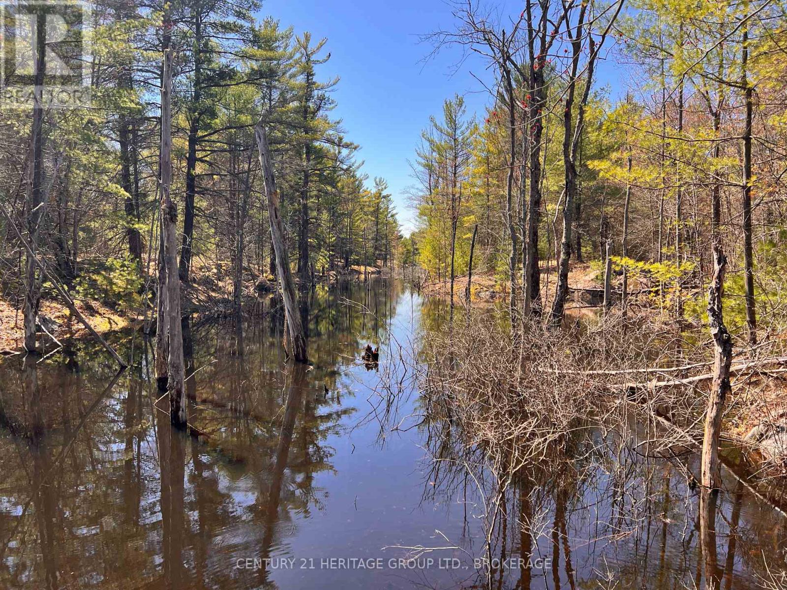 2355 RAYMO ROAD - 19