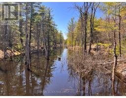2355 Raymo Road, Frontenac, ON K0H1T0 Photo 19