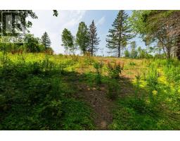 Lot 2 Highway 19, Hawleys Hill, Mabou, NS B0E1X0 Photo 13