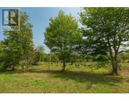 Lot 2 Highway 19, Hawleys Hill, Mabou, NS B0E1X0 Photo 10