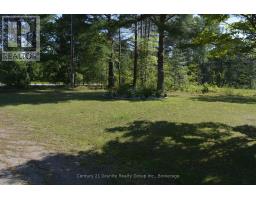 107 South Baptiste Lake Road, Hastings Highlands, ON K0L1C0 Photo 48