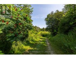 36826 Dungannon Road, Ashfield Colborne Wawanosh, ON N0M1R0 Photo 33