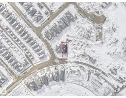 239 Kinglet Bv Nw Nw, Edmonton, AB T5S0S6 Photo 61