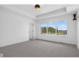 273 Paterson Li Sw, Edmonton, AB T6W5V2 Photo 46