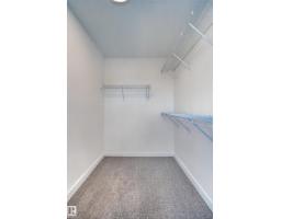 273 Paterson Li Sw, Edmonton, AB T6W5V2 Photo 52