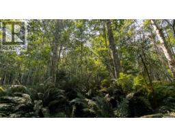 Lt A North Rd, Gabriola Island, BC V0R1X3 Photo 10