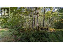 Lt A North Rd, Gabriola Island, BC V0R1X3 Photo 12