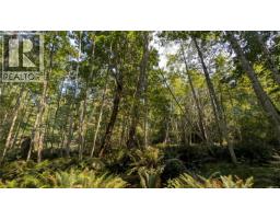 Lt A North Rd, Gabriola Island, BC V0R1X3 Photo 7