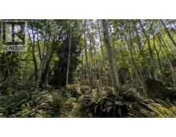 Lt A North Rd, Gabriola Island, BC V0R1X3 Photo 8