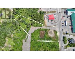 3736 Highway 3, Barrington Passage, NS B0W1E0 Photo 6