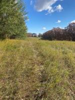 75180 65n Road, Carberry, MB R0K0H0 Photo 34