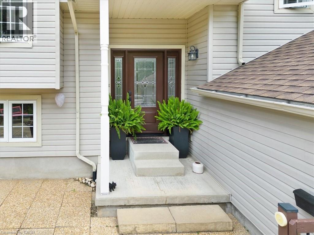 Doorway to property featuring a shingled roof and covered porch