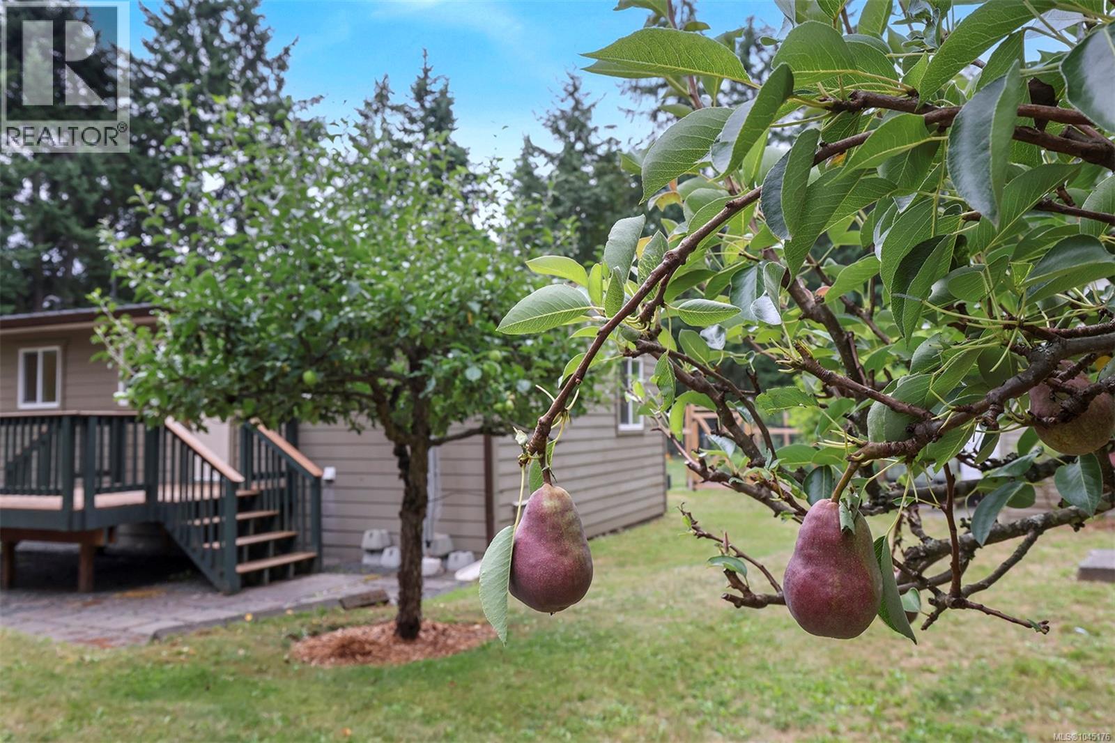3713 James Cres - 40