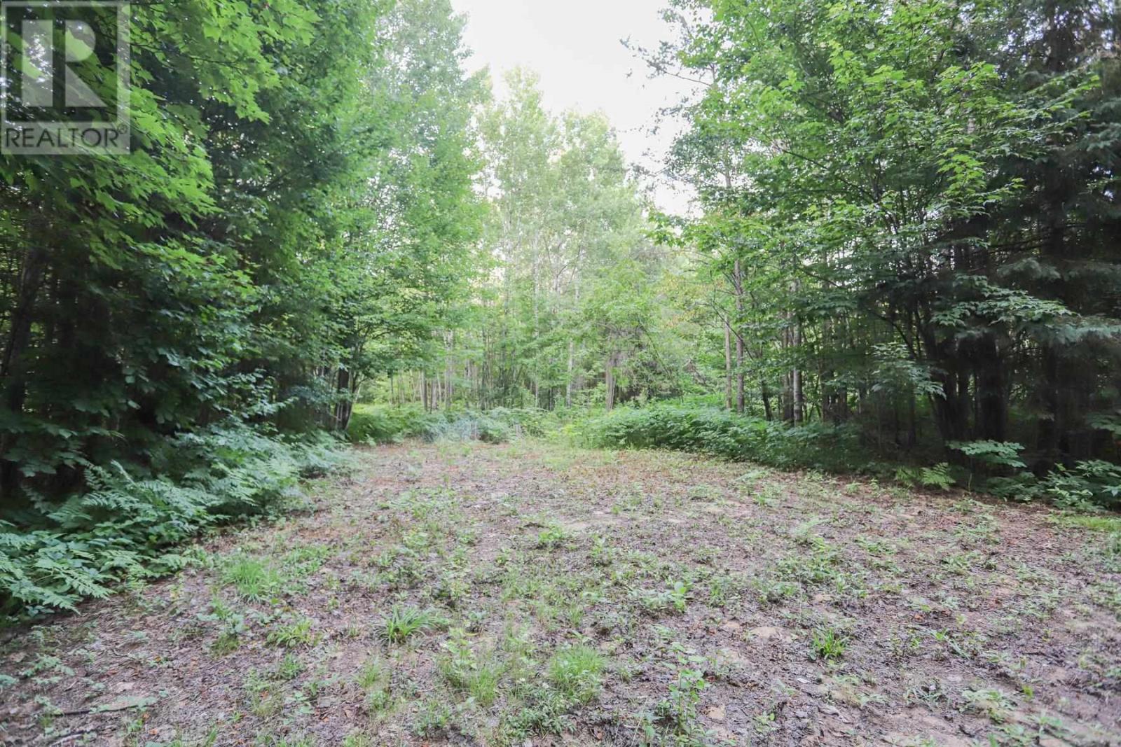 219 - 626 Airport RD - Image 28