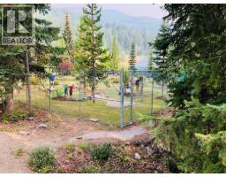 2090 Summit Drive Unit# 106, Panorama, BC V0A1T0 Photo 27