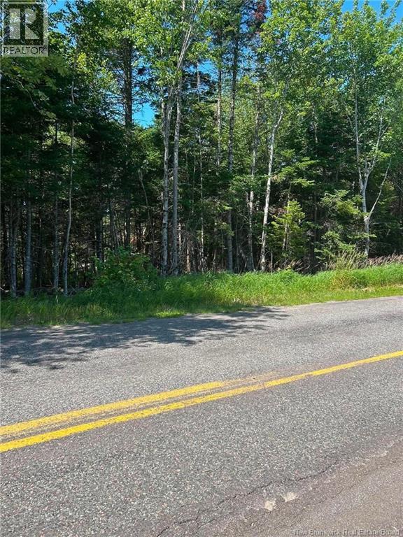 Lot 20-3 Route 825, Fairfield — photo 2