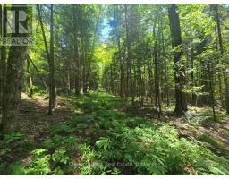 1630 Midlothian Road, Ryerson, ON P0A1C0 Photo 10