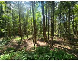 1630 Midlothian Road, Ryerson, ON P0A1C0 Photo 11
