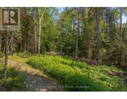 1630 Midlothian Road, Ryerson, ON P0A1C0 Photo 12