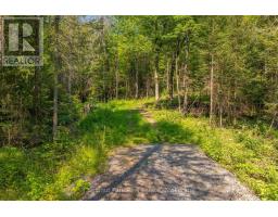 1630 Midlothian Road, Ryerson, ON P0A1C0 Photo 13